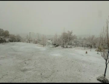 Temporal de Santa Rosa: domingo con nieve en Pedernal, Difunta Correa y Barreal