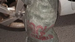 Un delincuente sanjuanino, delatado por su botín