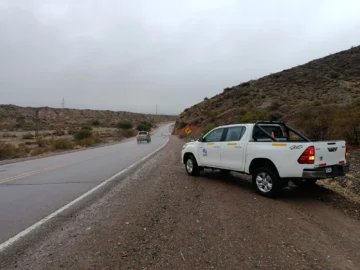 Niebla y lluvia complicaron el tránsito en rutas: el detalle