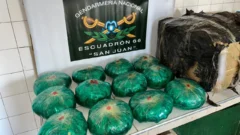 Un camionero, sorprendido con 12 kilos de hojas de coca en San Juan
