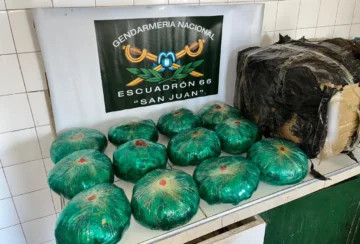 Un camionero, sorprendido con 12 kilos de hojas de coca en San Juan