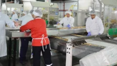 Desmintieron el cierre de la fábrica de galletitas en Albardón