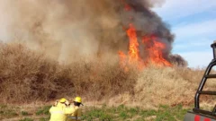Bomberos evitaron que se propagara un peligroso incendio en Jáchal