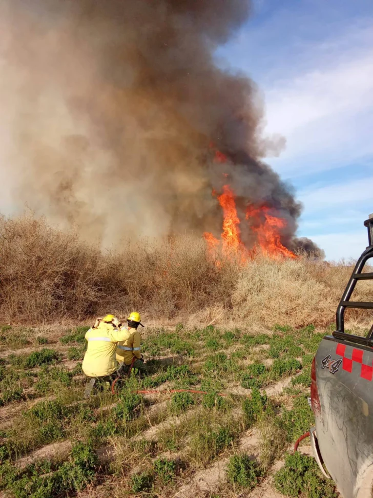 Bomberos evitaron que se propagara un peligroso incendio en Jáchal