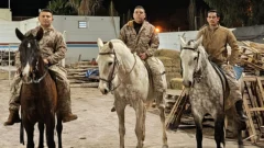 Fortuna y Sonic, los caballos que estuvieron a punto de ser faenados y hoy protegen el campo sanjuanino