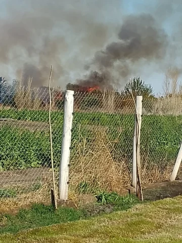 Preocupación en Pocito por un voraz incendio