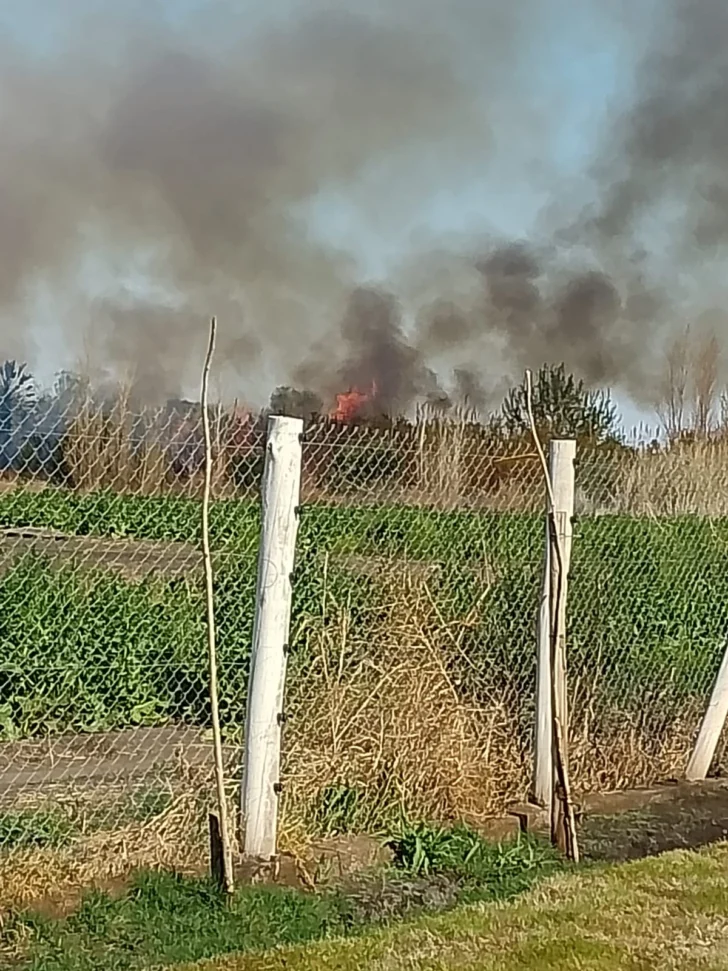 Incendio-en-Pocito-2-728x971
