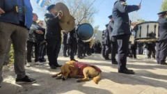 Día del Maestro: el perro de Sarmiento se llevó todas las miradas