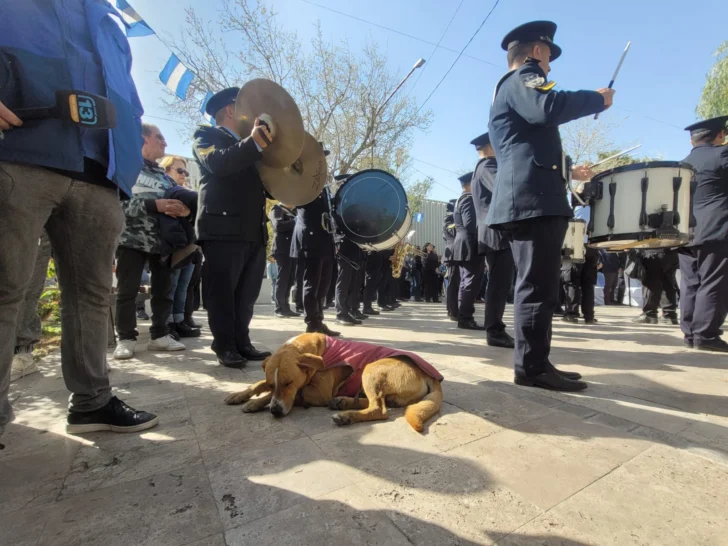 Día del Maestro: el perro de Sarmiento se llevó todas las miradas