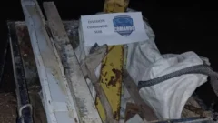 Sanjuanino revisó las cámaras y vio que le estaban robando