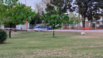 Conmoción: murió un chico de 13 años durante una clase de Educación Física