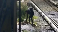 Todo mal: casi se electrocuta al intentar robar y lo detuvieron