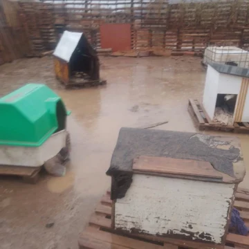 La Casita de Tronquito, inundada: las urgencias del refugio de animales de San Juan