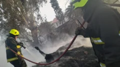 Voraz incendio frente a la Casa de Gobierno: aguardan pericias e investigan el origen