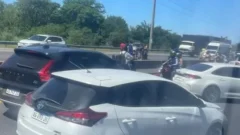Murió atropellado un niño de nueve años en una autopista
