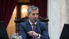 Cámara de Diputados: Menem, reelecto presidente por amplia mayoría