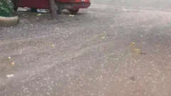 Fuerte caída de granizo afectó a una zona de San Juan