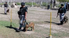 Adiós a Ankara y Atlas, los perros guardianes del Servicio Penitenciario pasaron a retiro