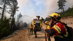 Incendios en Chubut: ofrecen millonaria recompensa para dar con los responsables