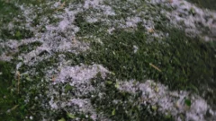 Tormentas y vientos intensos activaron alertas en varias provincias, este sábado