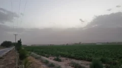 Alerta amarilla por viento en San Juan: pronostican ráfagas de hasta 70 km/h, ¿Cuándo será?