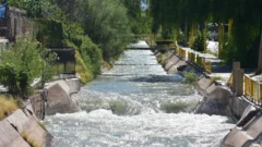 Muerte en el canal Benavídez: confirmaron que el menor fue empujado