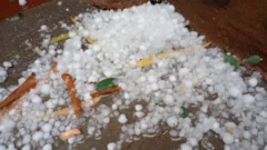 Granizo y viento marcaron la intensa tormenta que afectó a Barreal