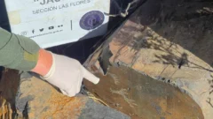 Los detalles del hallazgo de petroglifos y morteros en Iglesia