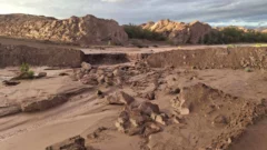 Impactantes imágenes: así quedó el camino a Mogna tras la fuerte creciente