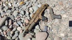 Encontraron dos armas de fuego en un descampado de Chimbas