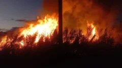 Un incendio, con llamas de gran altura, amenazaron casas en Albardón