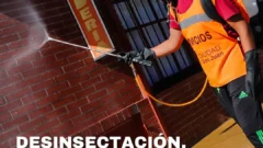 Capital detalló nuevo cronograma de desinsectación y desratización