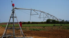Alivio fiscal para el agro de San Juan: bajarán el IVA de la energía para riego y buscan impacto inmediato