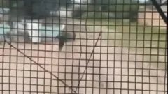 Video: un policía rescató a un niño, segundos antes de ser arrollado por un tren