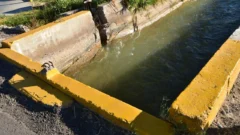 Muerte de una mujer en el canal Benavidez: aguardan el resultado de la autopsia
