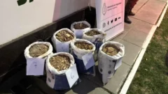 Detuvieron a 4 mineros chilenos que extraían oro ilegalmente de San Juan