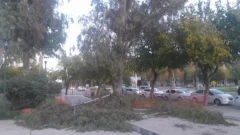 Fuertes vientos en San Juan: al detalle, cada uno de los inconvenientes que causó el fenómeno