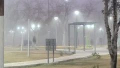 Frío, neblina y después sol: el combo climático de este jueves en San Juan
