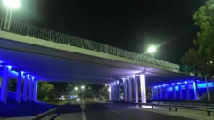 San Juan le pone color al debut de Argentina con sus puentes albicelestes