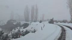 Parque Nacional El Leoncito: el temporal dejó 25 centímetros de nieve y caminos congelados