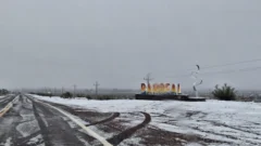 Barreal se vistió de blanco: la nieve llegó durante la madrugada y sorprendió a todos