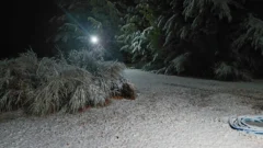 Nevadas en San Juan: Iglesia y Barreal se cubrieron de blanco