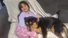 Desesperada búsqueda de “Lolo”, el perro que necesita medicación y desapareció en Rawson