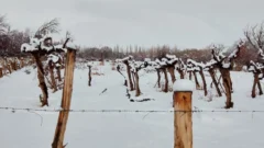 Alerta naranja y amarillo por nevadas afecta a gran parte de San Juan este martes