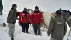 Evacuaron a dos puesteros aislados por la nieve en Iglesia