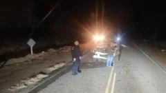 Se salvaron tras tremendo choque contra caballos en Valle Fértil
